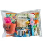 paediatrics development assessment kit 2